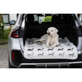 Charger l'image dans la visionneuse de galerie,Hundedecke TECKEL - Wendedecke mit Dackelmotiv - BenzoDesign