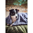 Charger l'image dans la visionneuse de galerie,Hundedecke COZY STONE - Webpelz Decke - BenzoDesign