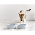 Carica l'immagine nel visualizzatore di gallerie,ROCKY - Napf für Hund und Katze - BenzoDesign
