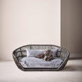 Bild in Galerie-Betrachter laden, Design-Hundebett Prado OXFORD - BenzoDesign
