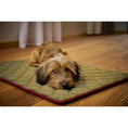 Charger l'image dans la visionneuse de galerie,Hundedecke OXFORD Olive - BenzoDesign