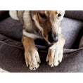 Carica l'immagine nel visualizzatore di gallerie,Orthopädisches Hundebett - GLAM GRAPHITE - BenzoDesign
