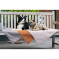 Charger l'image dans la visionneuse de galerie,Hundedecke BUFFALO CREAM Multifunktionsdecke - BenzoDesign