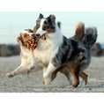 Cargar imagen en el visor de galería, Hundespielzeug Schleuderball - BenzoDesign