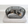 Bild in Galerie-Betrachter laden, Design-Hundebett Prado OXFORD - BenzoDesign