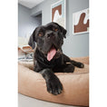 Charger l'image dans la visionneuse de galerie,Hundebett Classic - GLAM SAND - BenzoDesign