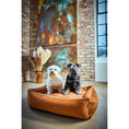 Carica l'immagine nel visualizzatore di gallerie,Hundebett Classic - BUFFALO CAMEL - BenzoDesign