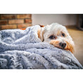 Charger l'image dans la visionneuse de galerie,Hundedecke COZY LIGHT GRAY - Webpelz Decke - BenzoDesign