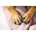 Carica l'immagine nel visualizzatore di gallerie,Hundebett Classic - TUDOR ROSE - BenzoDesign