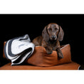 Carica l'immagine nel visualizzatore di gallerie,Hundebett Classic - BUFFALO CAMEL - BenzoDesign