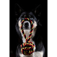 Cargar imagen en el visor de galería, Hundespielzeug Schleuderball - BenzoDesign