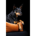 Carica l'immagine nel visualizzatore di gallerie,Hundebett Classic - BUFFALO CAMEL - BenzoDesign