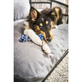 Bild in Galerie-Betrachter laden, Design-Hundebett Prado TUDOR - BenzoDesign