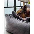 Cargar imagen en el visor de galería, Orthopädisches Hundebett - GLAM GRAPHITE - BenzoDesign