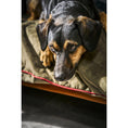Charger l'image dans la visionneuse de galerie,Hundedecke OXFORD Olive - BenzoDesign