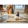 Charger l'image dans la visionneuse de galerie,Hundedecke TEDDY CREAM - BenzoDesign