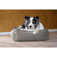 Cargar imagen en el visor de galería, Hundebett Classic - SCALA AMBER - BenzoDesign