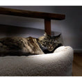 Cargar imagen en el visor de galería, Hundebett Classic - TEDDY CREME - BenzoDesign