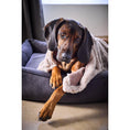 Cargar imagen en el visor de galería, Hundedecke COZY BEIGE - Webpelz Decke - BenzoDesign