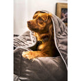 Bild in Galerie-Betrachter laden, Hundebett Classic - OXFORD STONE - BenzoDesign