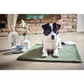Charger l'image dans la visionneuse de galerie,Hundedecke TEDDY GREEN - BenzoDesign