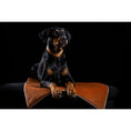 Charger l'image dans la visionneuse de galerie,Hundedecke BUFFALO CAMEL Multifunktionsdecke - BenzoDesign