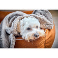 Cargar imagen en el visor de galería, Hundedecke COZY BEIGE - Webpelz Decke - BenzoDesign