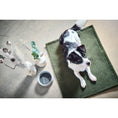Charger l'image dans la visionneuse de galerie,Hundedecke TEDDY GREEN - BenzoDesign