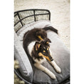 Bild in Galerie-Betrachter laden, Design-Hundebett Prado TUDOR - BenzoDesign