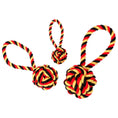 Cargar imagen en el visor de galería, Hundespielzeug Schleuderball - BenzoDesign