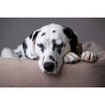Cargar imagen en el visor de galería, Hundebett Classic - BUFFALO CREME - BenzoDesign