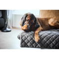 Charger l'image dans la visionneuse de galerie,Hundedecke OXFORD Stone - BenzoDesign