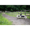 Bild in Galerie-Betrachter laden, Design-Hundebett Vogue OXFORD - BenzoDesign
