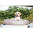 Bild in Galerie-Betrachter laden, Design-Hundebett Prado SMOOTH - BenzoDesign