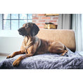 Charger l'image dans la visionneuse de galerie,Hundedecke COZY STONE - Webpelz Decke - BenzoDesign