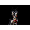 Cargar imagen en el visor de galería, Hundespielzeug Schleuderball - BenzoDesign