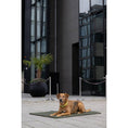 Charger l'image dans la visionneuse de galerie,Hundedecke TEDDY GREEN - BenzoDesign