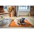 Charger l'image dans la visionneuse de galerie,Hundedecke BUFFALO CAMEL Multifunktionsdecke - BenzoDesign
