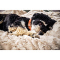 Cargar imagen en el visor de galería, Hundedecke COZY BEIGE - Webpelz Decke - BenzoDesign