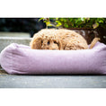 Carica l'immagine nel visualizzatore di gallerie,Hundebett Classic - TUDOR ROSE - BenzoDesign