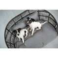 Bild in Galerie-Betrachter laden, Design-Hundebett Prado SMOOTH - BenzoDesign