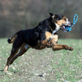 Cargar imagen en el visor de galería, Hundespielzeug Maxi Schleuderball - BenzoDesign
