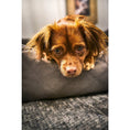 Bild in Galerie-Betrachter laden, Hundebett Classic - OXFORD STONE - BenzoDesign
