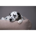 Cargar imagen en el visor de galería, Hundebett Classic - BUFFALO CREME - BenzoDesign