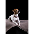 Charger l'image dans la visionneuse de galerie,Hundedecke BUFFALO TAUPE - BenzoDesign