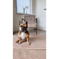 Charger l'image dans la visionneuse de galerie,Hundedecke TEDDY CREAM - BenzoDesign