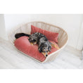 Bild in Galerie-Betrachter laden, Design-Hundebett Vogue OXFORD - BenzoDesign