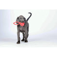 Cargar imagen en el visor de galería, Hundespielzeug Schleuderball - BenzoDesign