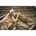 Cargar imagen en el visor de galería, Hundebett Classic - OXFORD OLIVE - BenzoDesign