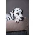 Cargar imagen en el visor de galería, Hundebett Classic - BUFFALO CREME - BenzoDesign